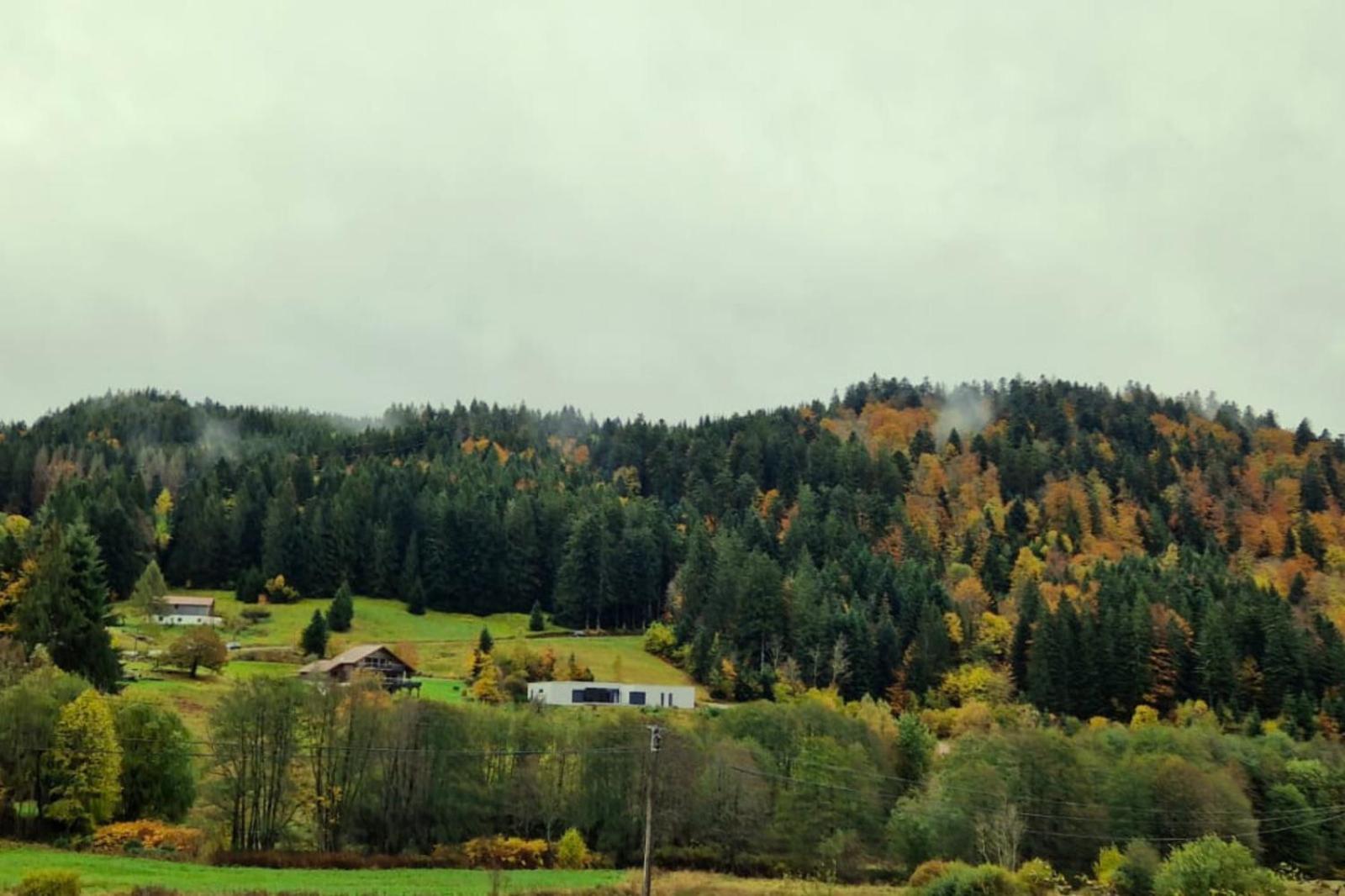 Villa Le Vivaldi / au coeur du Massif des Vosges / 10 minutes des pistes ! à Rochesson Extérieur photo